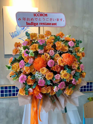 🎉 INDIGO – TRÒN 6 TUỔI 🎉